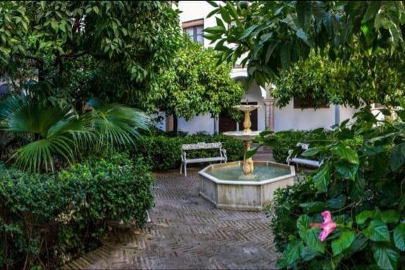 סביליה Apartamento En Un Dormitorio En Plaza Alfaro מראה חיצוני תמונה